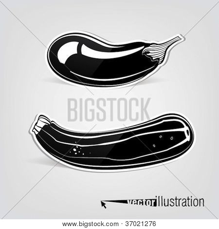 Vector decorative eggplant and courgette