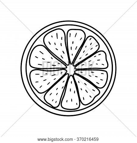 Black-white Citrus Icon. Vector Illustration. Isolated Element On The White Background. Simple Hand-