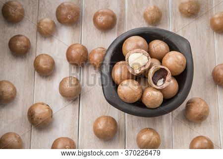 Macadamia Nuts - Macadamia Integrifolia. Top View