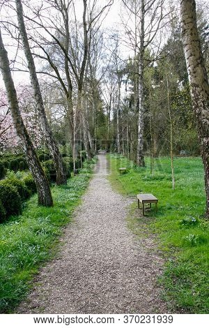 Forest Track At Insel Hombroich, Neuss, Germany