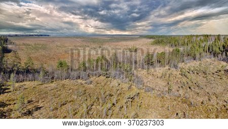 aerial view of northern peat swamp under sky with clowds