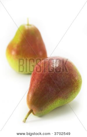 코렐라 배입니다.