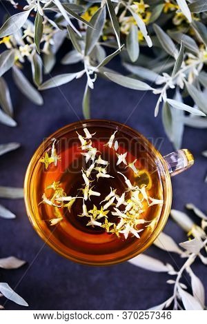 Tea With Sea Buckthorn Leaves. Young Branches And Flowers Of Sea Buckthorn. Healing Sea Buckthorn Dr