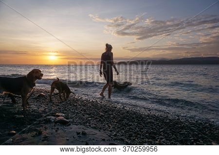Banyuwangi, Indonesia - May 14, 2020 : A Woman Playing With The Dogs At Watudodol Beach Banyuwangi E