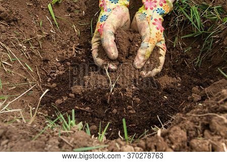 Soil That Was Fertilized With Manure For Planting Vegetables