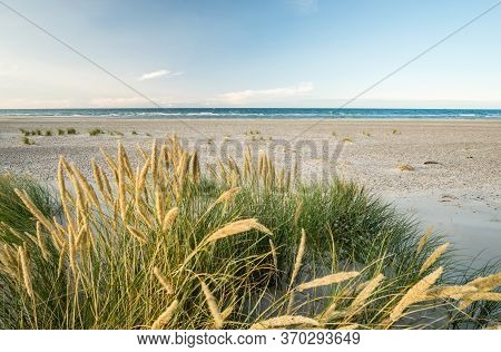 Beach With Sand Dunes And Marram Grass In Soft Sunrise Sunset Light. Skagen Nordstrand, Denmark. Ska