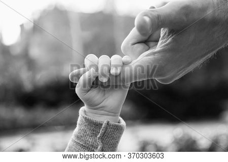 A Baby Holding Man's Finger While Walking In A Park. Closeup, Black And White, Selective Focus