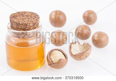 Macadamia Integrifolia - Nuts And Macadamia Oil