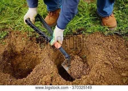 Man Diging Holes A Shovel For Planting Juniper Plants In The Yard. Seasonal Works In The Garden. Lan