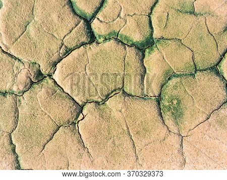 Crack On Green Algae In Wet Soil