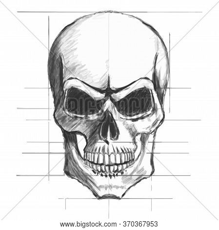 Skull Pencil Sketch Vector On White Background.