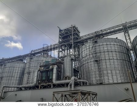 Modern Grain Terminal In The Seaport. A Number Of Silos For Storing Grain Cargo With Conveyor Belts.
