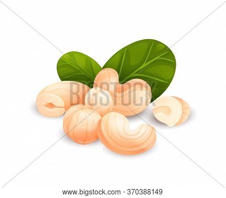 Cashew Nut Composition, Vector Cartoon, Food Label