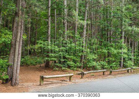 Empty Parking Lot With Parking Barriers In Place To The Entrance Of The Trailhead In The Woodlands O