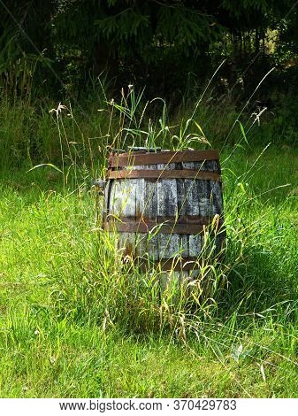 A Weathered Rusted Old Barrel With A Green Garden Background In Portrait Format.