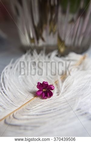 Five-pointed Lilac Violet Flowers On A White Ostrich Feather. A Lilac Luck - Flower With Five Petals