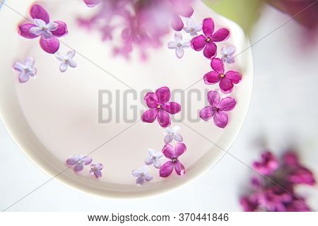 Five-pointed Lilac Flower Among Lilac Flowers In A Cup With Water. Spa Ritual. Lilac Branch With A F