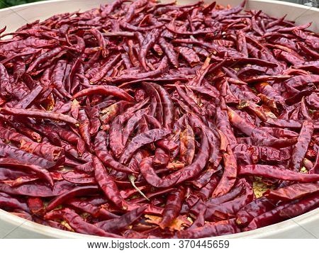 Dried Red Hot Chili Peppers
