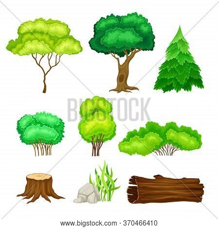 Green Trees, Bushes And Stumps As Forest Elements Vector Set