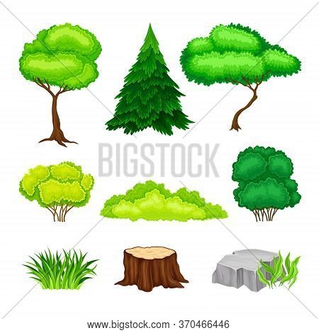 Green Trees, Bushes And Stumps As Forest Elements Vector Set