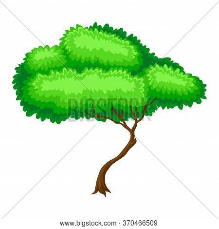 Green Tree With Brown Trunk And Leafy Crown As Forest Element Vector Illustration