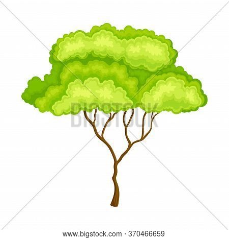 Green Tree With Brown Trunk And Leafy Crown As Forest Element Vector Illustration