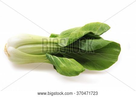Pac-choi Traditional Chinese Vegetable Isolated
