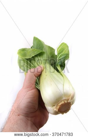 Pac-choi Traditional Chinese Vegetable Isolated