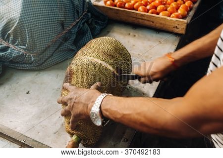 Fresh Sweet Jackfruit Is Ready To Eat. Cuts The Jackfruit. Vegetarian, Vegan, Raw Food.tropical Frui