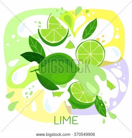 Vector Illustration Of An Organic Lime Milkshake Or Fruit Drink. Ripe Lime Fruits With Splash Of Mil