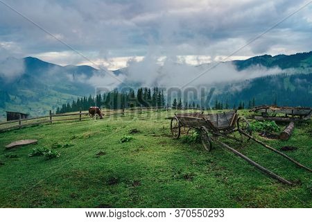 Mountain Ukrainian Village Dzembronya Covered By Fog In The Morning