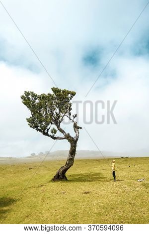 Traveller woman feeling the power of the nature at an ancient forest