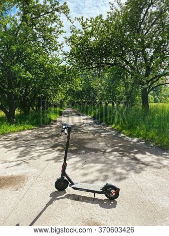 Rental E-scooter, Motorized Scooter, Parked In Public Park. Eco-friendly Transport Concept. Modern E