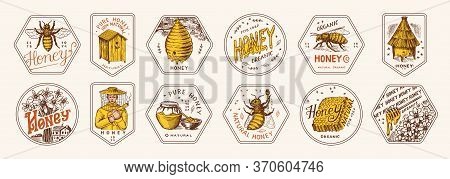 Honey And Bees Stickers Set. Beekeeper Man And Honeycombs And Hive And Apiary. Vintage Logo For Typo
