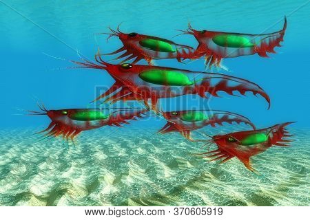 Ocean Krill Fish 3d Illustration - Ocean Crustacean Krill Fish Provide Food For Numerous Predators A