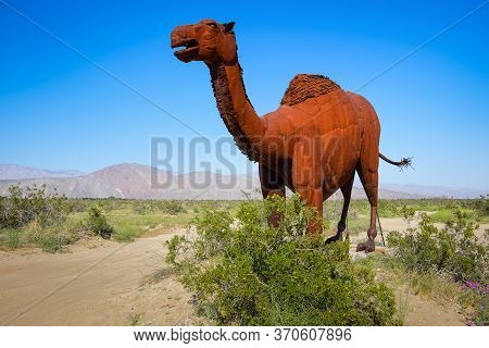 California, USA, March 2019, Dromedary metal sculpture by the artist Ricardo Breceda in the Anza-Borrego Desert State Park