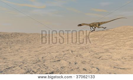 Coelophysis ausgeführt