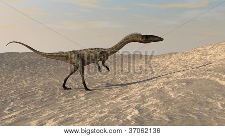 Coelophysis ausgeführt