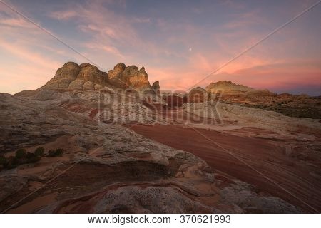 The Back Of Dragon. Rock Formation In White Pocket, Arizona, Usa. Sunrise Scene In The Morning.