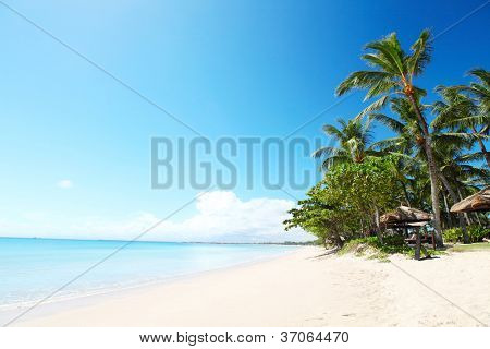 Tropisk strand med palmer på solrig dag. Syd for Bali, Jimbaran beach