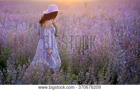 Romantic Lady On A Sage Field Holdis A Sage Bouquet. Girl Wearing Light Purple Lace Dress. Summertim