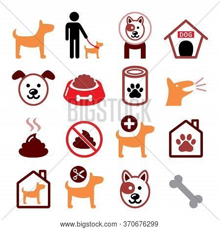 Dog, Pet Color Icon Set - Vet, Dog's Food, Dog Hotel, Animal Design