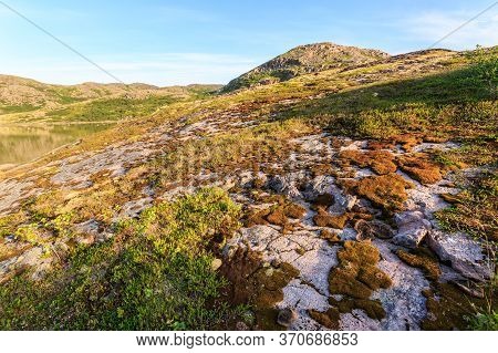 Tundra In The Northern Polar Summer. Beautiful Coastline Of Barents Sea, Arctic Ocean, Kola Peninsul