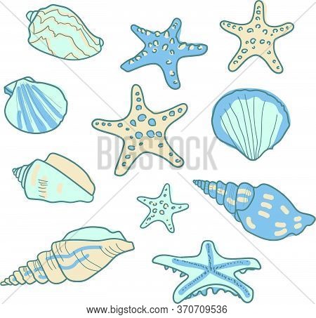 Vector Set Pattern With Seashells And Starfishes. Marine Background. Vector Collection In Sketch Sty