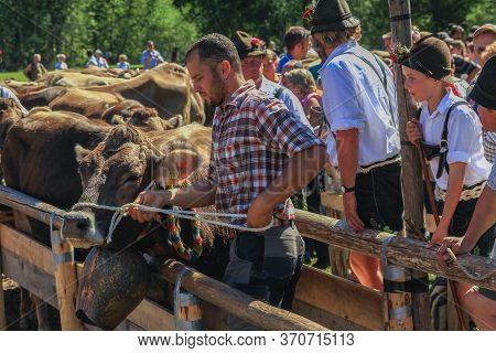 Bad Hindelang, Bavaria, Germany - September 10 2011: Adorned Cattle And Mountain Farmers At The Trad