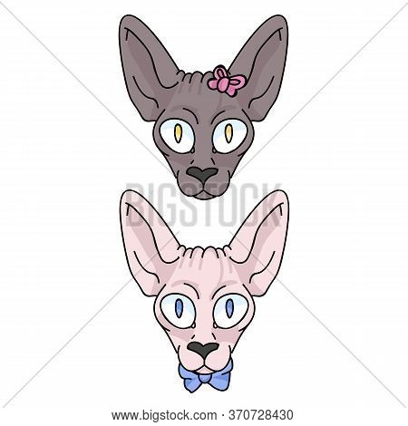 Cute Cartoon Sphynx Face Kitten Boy And Girl Vector Clipart. Pedigree Exotic Kitty Breed For Cat Lov