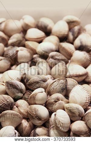 Raw Fresh Clams Vongole Seashells Background Close-up At Market