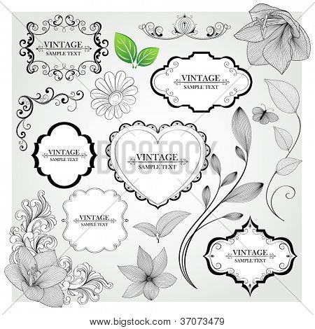   Satz von Hand-Zeichnung kalligraphische florale Bilder und Design-Elemente. Vektor-Illustration.