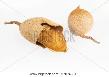 Tropical Fruit Of Tamarind - Tamarindus Indica