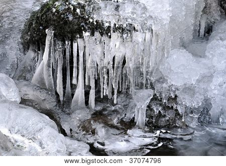 ครีกหนาวในอุทยานแห่งชาติ Sumava - สาธารณรัฐเช็ก